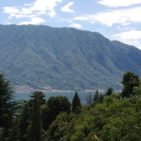 Selve Di Rogaro Tremezzo