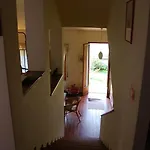 Selve Di Rogaro Tremezzo