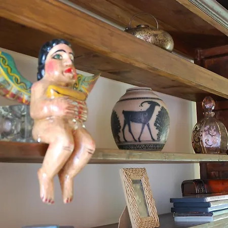 Selve Di Rogaro Tremezzo